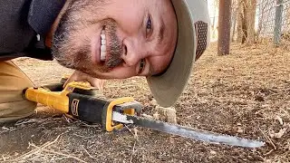 How To Flush Cut Small Tree Stumps