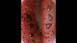 Сдерживаю всё.