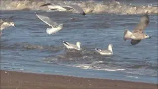 Walk along Skegness sea front on Boxing Day, 26th December 2025.