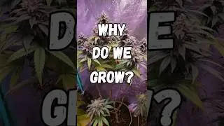 Why do we grow?