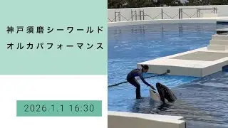 神戸須磨シーワールド　オルカパフォーマンス　2026.1.1 16:30