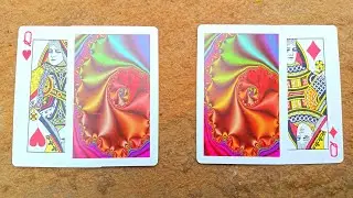 THIS CARD TRICK IS TOO HANDSOME | ताश की दो पत्तियों का जादू सीखें | virtual magic show |Ulta Tarika