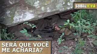 Dormi escondido no mato! - Sobreviva Ep.16