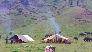 Real Nepali Mountain Village Life During the Rain | Most Peaceful & Relaxing Village Life