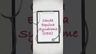 Bladder issues + back pain? Urgent!