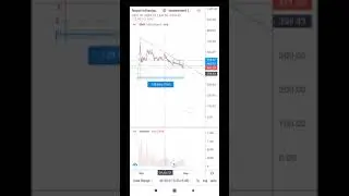 nifra technical analysis for long term and short term investor and traders