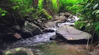 Beat Stress to Sleep Fast with Powerful River Sounds & Relaxing Cascading Water Through Forest Path