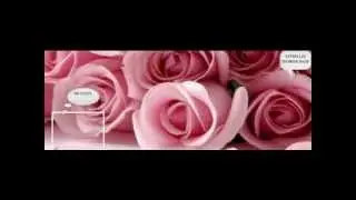 Dallas Flowers.all zip codes flowers