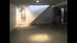 Mold remediation of black mold in basement.