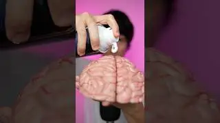 scrubbing your 🧠 #asmr