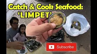 Tangkap Dan Masak LIMPET - Siput Senduk