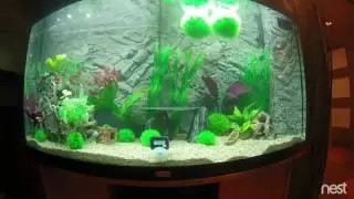Fishwell-5minute clip