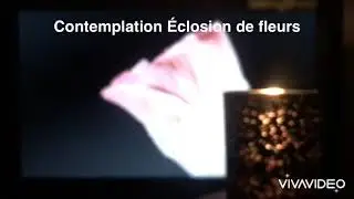 Porte lampion After Dark Partylite