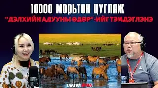 Таатай яриа | 2026-01-28 | Дэлхийн адууны өдөр