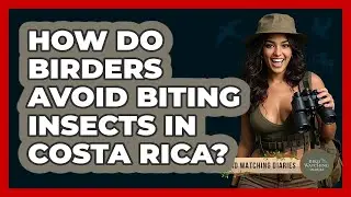 How Do Birders Avoid Biting Insects In Costa Rica? - Bird Watching Diaries