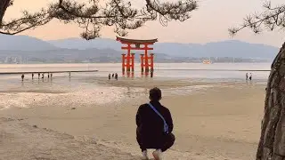 [ENG SUB] El torii más grande de Japón y la Isla de Miyajima.