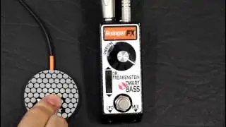 Rainger FX - Dr. Freakenstein Dwarf Bass - Extreme Fuzz For Bass