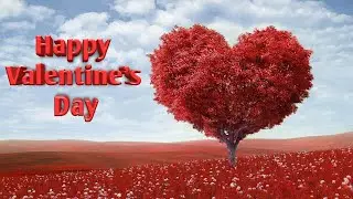Valentine day Whatsapp status/valentine's day video/valentine day 2020 Whatsapp video