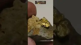 Colorado quartz gold mine specimen 3 😱💰