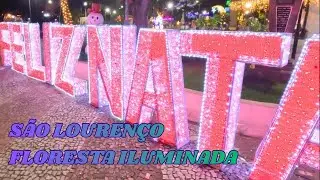 É NATAL! A FLORESTA ILUMINANADA - SÃO LOURENÇO MG