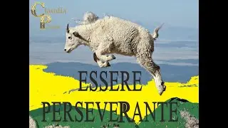 Claudia Pisano  -  Life Coaching - Essere perseverante