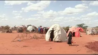 The risk of famine looms larger than ever!