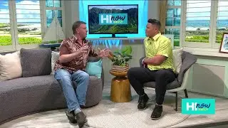 Consider volunteering with Molokaʻi Land Trust to assist in coastal ecosystem restoration and sea...