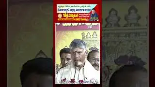 CM Chandrababu Great Comments On Dasara Festival #shorts : PDTV News