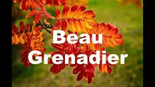 Beau Grenadier