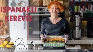 Ispanaklı Kereviz | Şemsa Denizsel