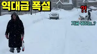 27년만에 역대급 폭설 내린 캐나다에 썰매 탄다고 쌀포대 들고 온동네 휘젓고 다니는 캐나다 와이프