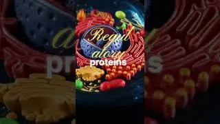 Amazing facts Biology.#kvs#nvs#htet#science#ytshorts#shorts#neet#facts#science.
