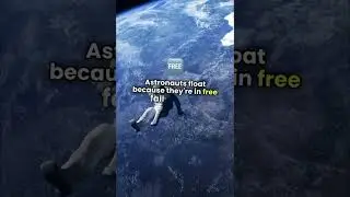 Myth Busting: Is There Really No Gravity in Space?