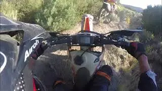 Deep In The Bush