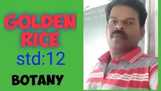 Golden rice in tamil