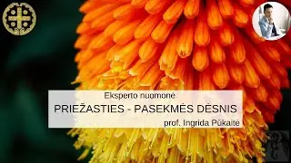 Priežasties - pasekmės dėsnis