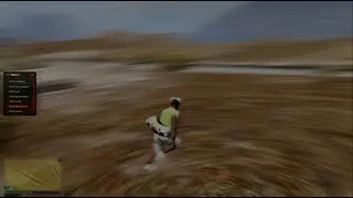 revsi with bullets