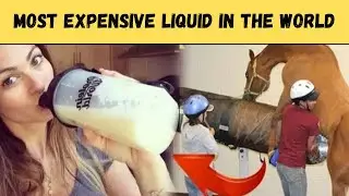 Most expensive liquid in the world | animals video | duniya ke sub sa manghe cheez | adventure hindi
