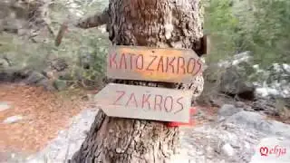 Kato Zakros Gorge 2017 (Dead's gorge) Crete 720p