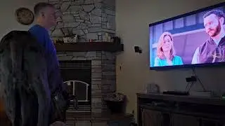 Great Dane puppy loves watching Ruby on TV!!