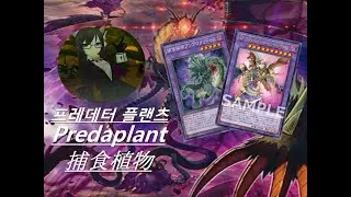 [제논드] 유희왕 - 신규 지원 투입형 '프레데터 플랜츠'덱 YGOPRO Predaplant Deck [遊戯王ADS 捕食植物]