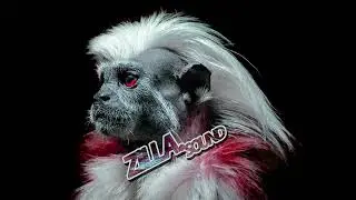 Tones And I - Dance Monkey (ZILLA's DNB Remix)