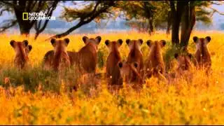 Demo National Geographic 2014 - Richard Alexis Hernandez
