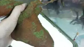 Gắn gốc cây bonsai vào chậu