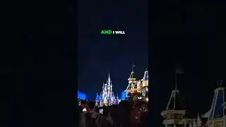 Happily Ever After Fireworks At Magic Kingdom  #disneythemepark #disneylive #disney #magickingdom