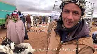 العنزي الشامي المستورد يغزو سوق بوڤطب للمواشي و سعره  يصل 9 ملايين ،،جثة و تكاثر