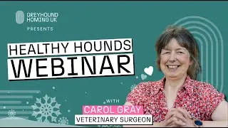 Greyhound Homing UK - Healthy Hounds Winter Webinar with Vet Carol Gray