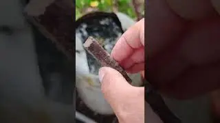 How to throw rotten iron into the water #tutorial #lol #absurd #uselessfacts