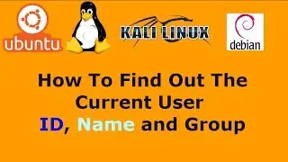 Linux How To Find Out The Current User ID Name and Group