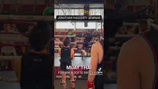 Jonathan Haggerty seminar, Forearm block to switch kick